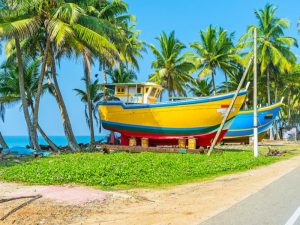 15c2ff1a-0ceb-491f-80d7-d60dfec92684