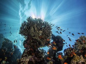 2eedf4aa-3f08-4d06-89f5-cba3dcfdb5f9