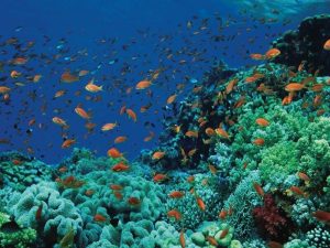 51fc4a52-d524-4fc4-948a-dd708e19e768