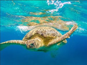 6bb53391-29d9-4438-9628-b37c67bdbf65