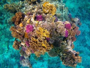 7c0bb91f-f7aa-41b0-b62f-f37a466ab734