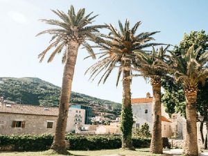 887cbe17-9003-4dd9-b5bc-a5df3b50c44c