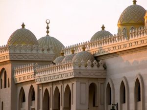 8881b874-25fc-486b-8886-2693434f92b7