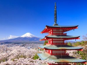 9526ac12-e216-4164-867a-53a88b1e8a50