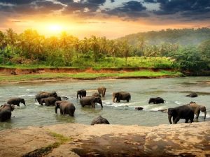 a31b7ec4-1092-4da3-9ed0-56877a57a471