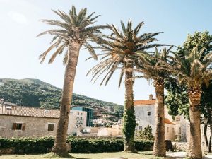 afe1a5af-7bef-4a1e-bb24-ec271675fb4d