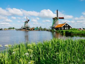 b9adb0bf-54d7-4311-926d-93998676c621