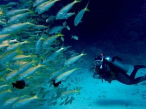 e26244c2-98ba-4996-96de-042c5136e17d