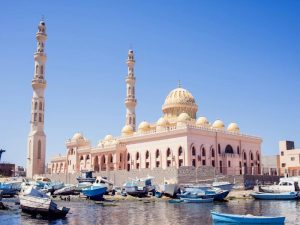 f4b919ae-10cf-4bb8-8208-352390a561c0