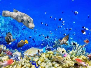 fa59606a-cf56-45de-8e5f-44ef53a64155