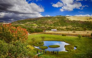 20180319135034710_yuzen_adalar-f