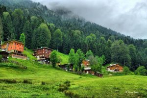ayder-yaylasi-tour-trabzon-f