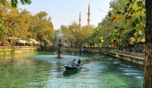 ayn_zeliha_golu-ssc-tur-f