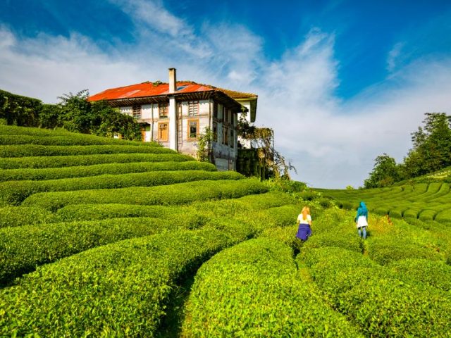 1 Mayıs Özel Uçaklı Karadeniz Yaylaları Ve Batum Turu (3 Gece Otel Konaklamalı)