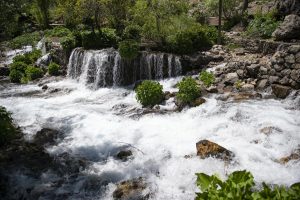 munzur_gozeleri_105x-f