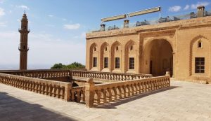 sahtana_konagi-ssc-tur–f