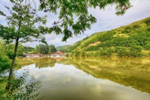 sera_gol_trabzon_–f